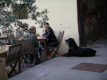 Ljubljanalainen rotweiler istahti odottavasti vieraaseen pöytään.